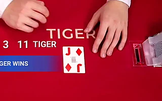 Dragon Tiger — real game screen